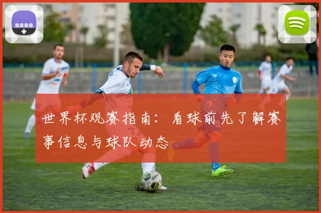 世界杯观赛指南：看球前先了解赛事信息与球队动态